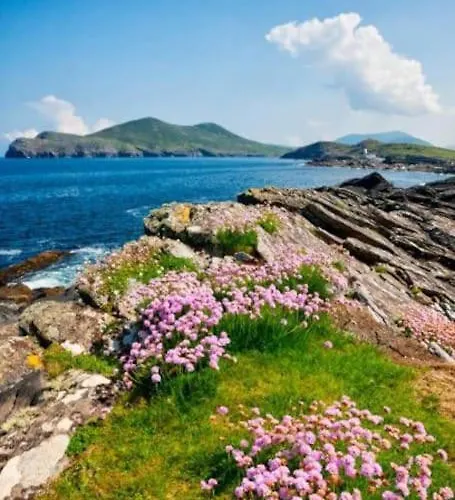 Harbor View Homestay szállás Chapeltown